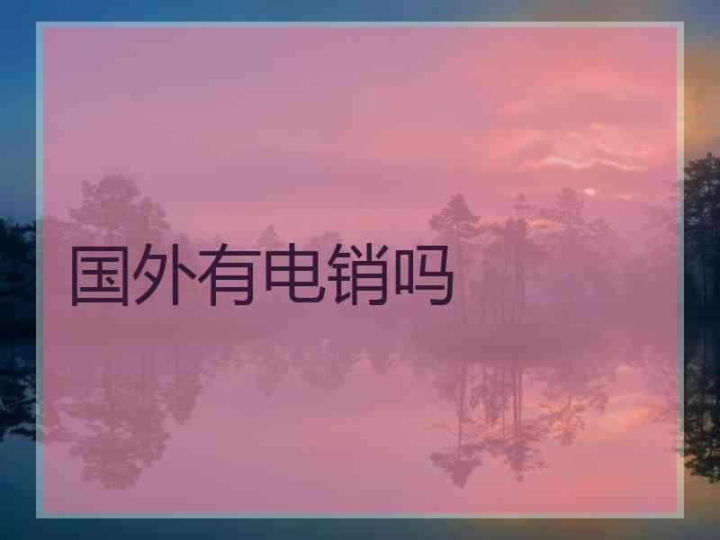 国外有电销吗