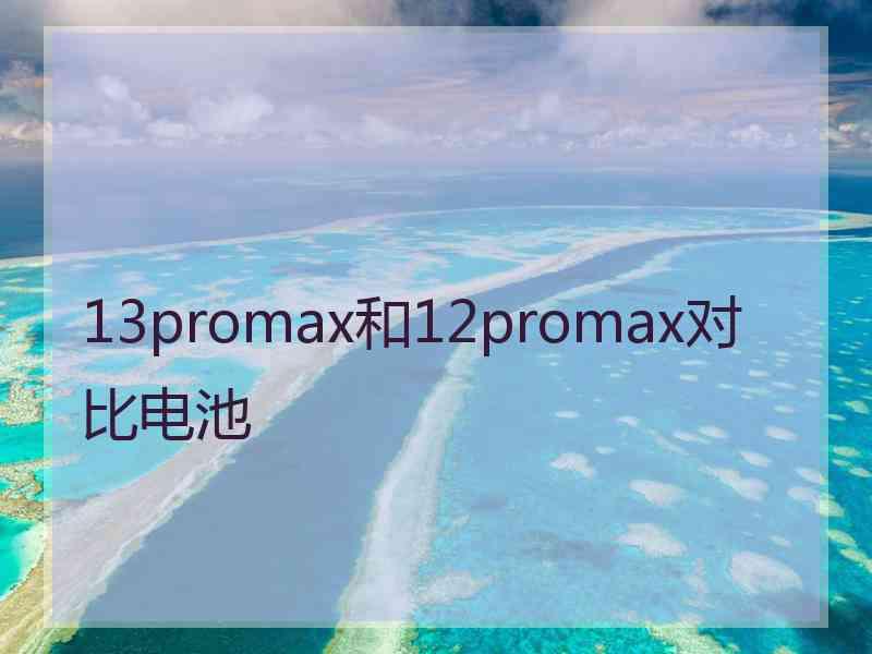 13promax和12promax对比电池