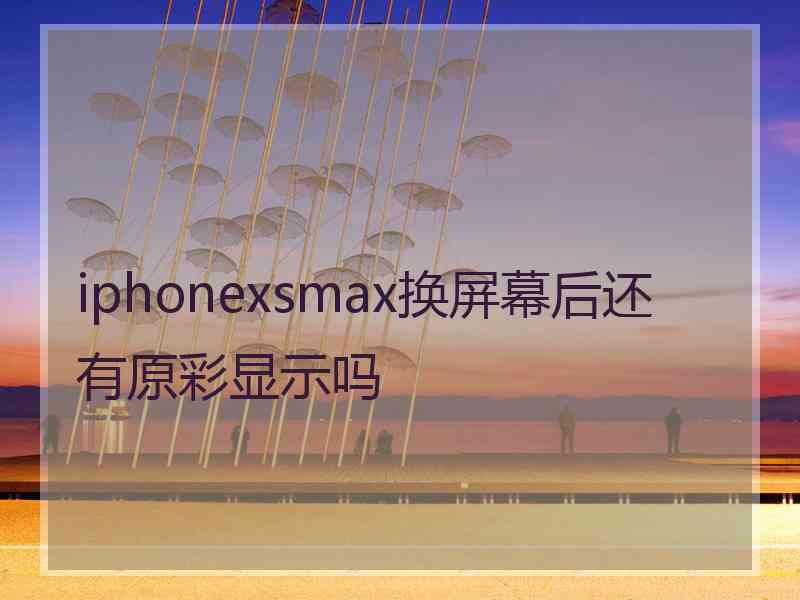 iphonexsmax换屏幕后还有原彩显示吗