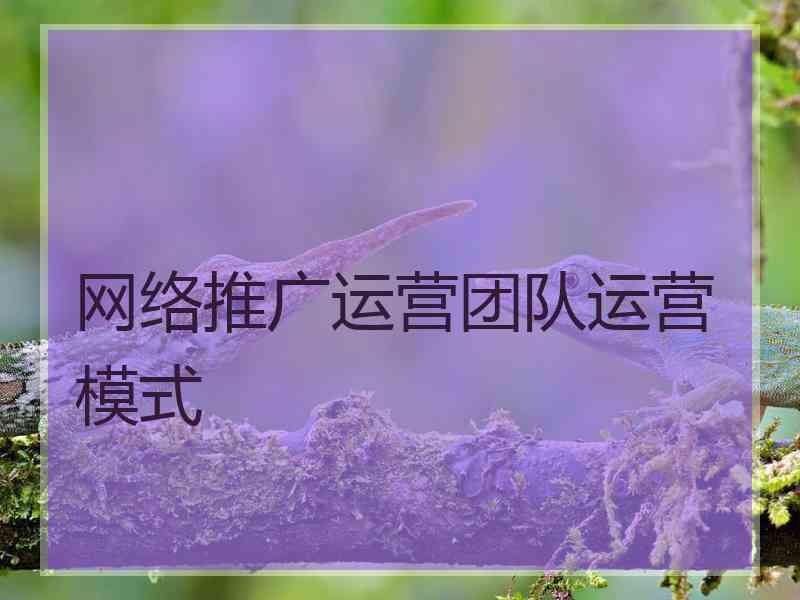 网络推广运营团队运营模式