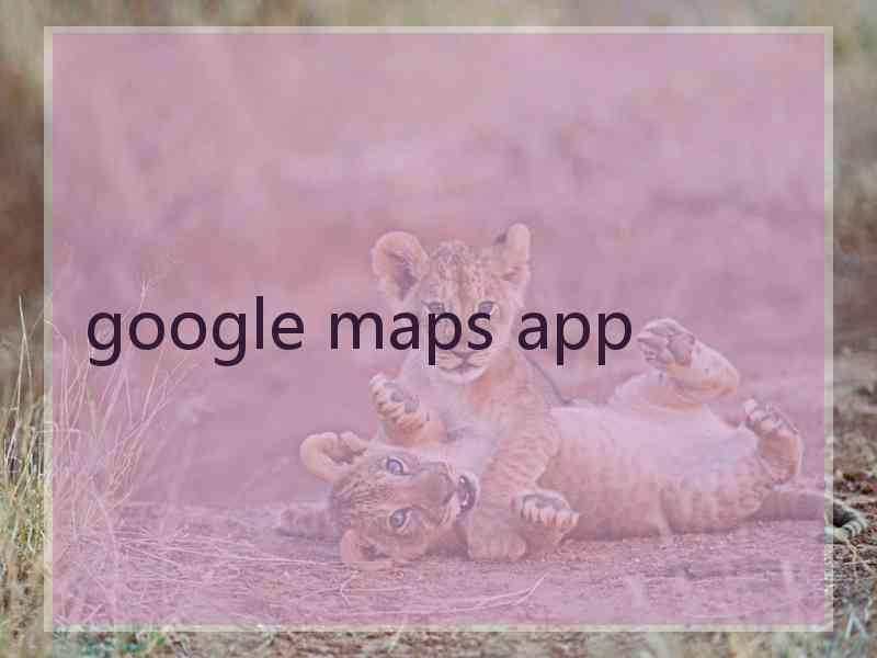 google maps app