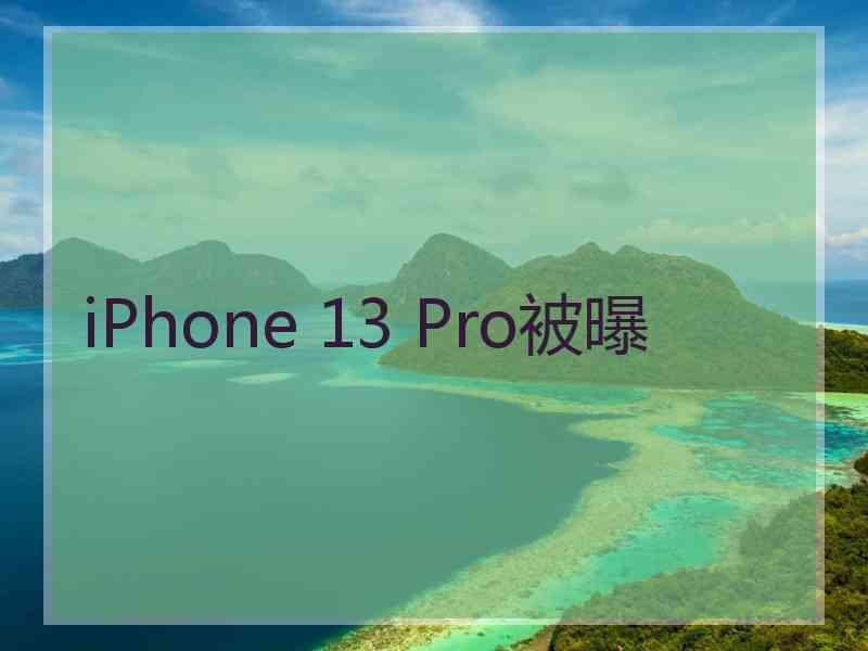 iPhone 13 Pro被曝