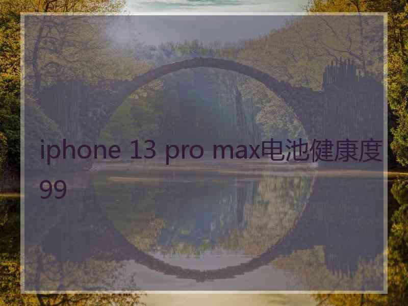 iphone 13 pro max电池健康度99