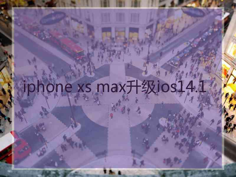 iphone xs max升级ios14.1