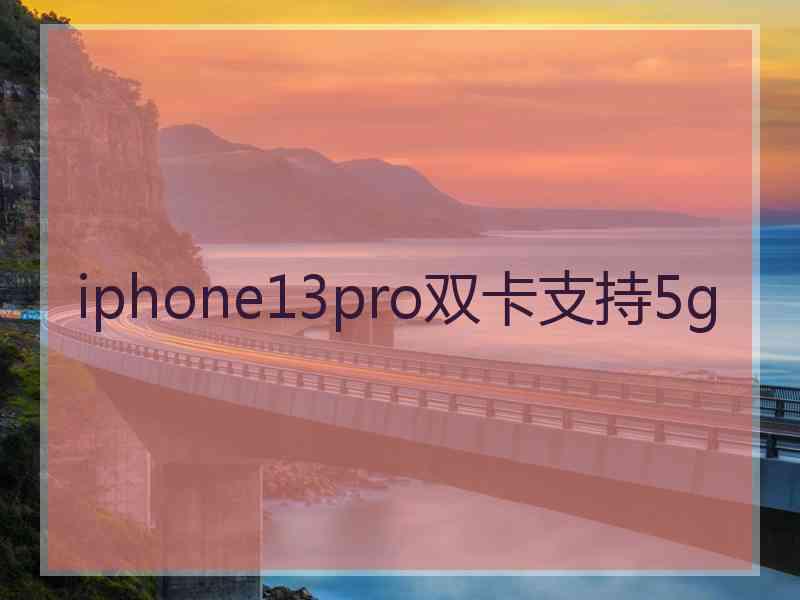 iphone13pro双卡支持5g