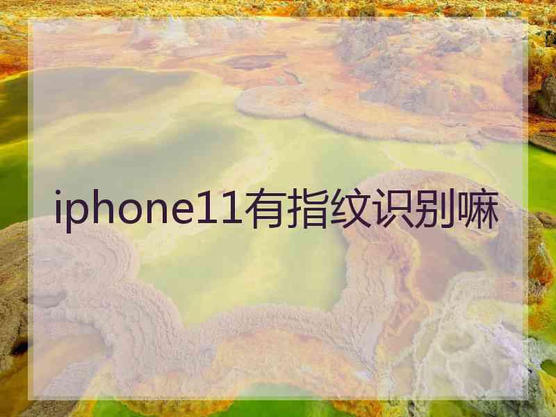 iphone11有指纹识别嘛