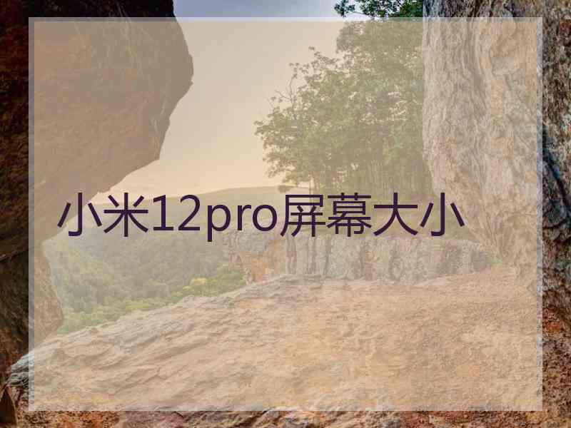 小米12pro屏幕大小