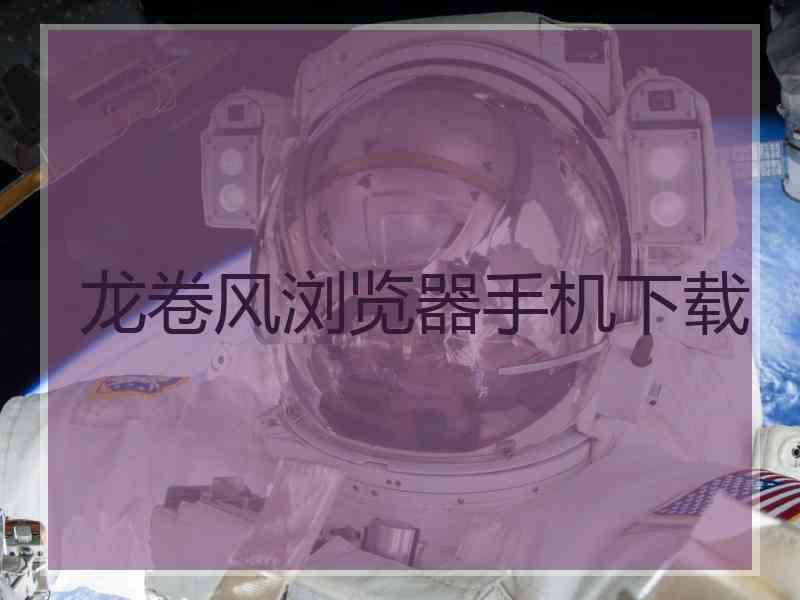 龙卷风浏览器手机下载