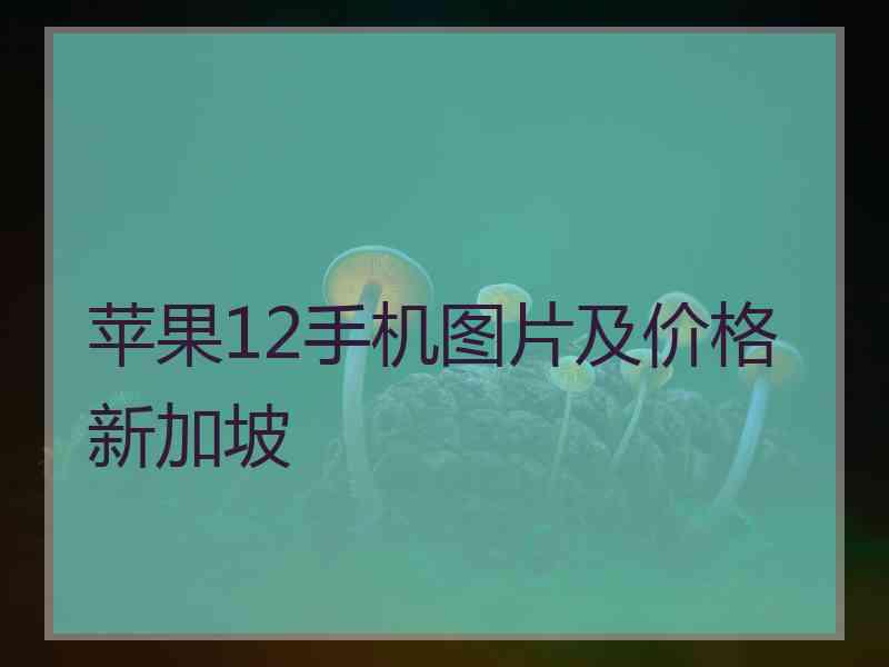 苹果12手机图片及价格新加坡