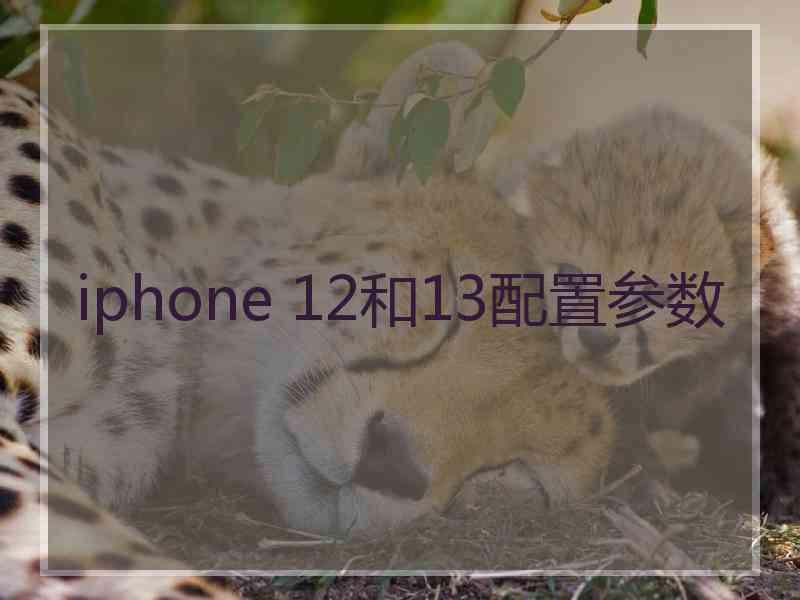 iphone 12和13配置参数