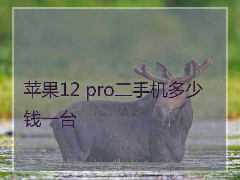 苹果12 pro二手机多少钱一台