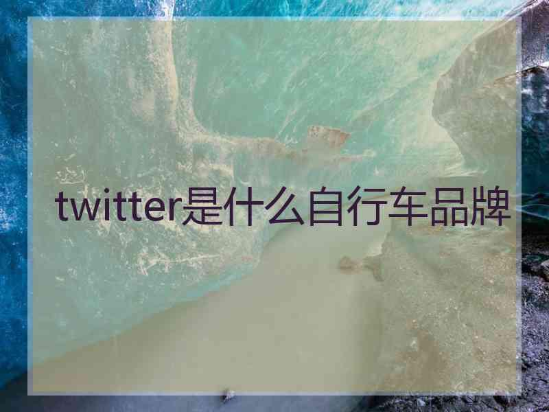 twitter是什么自行车品牌