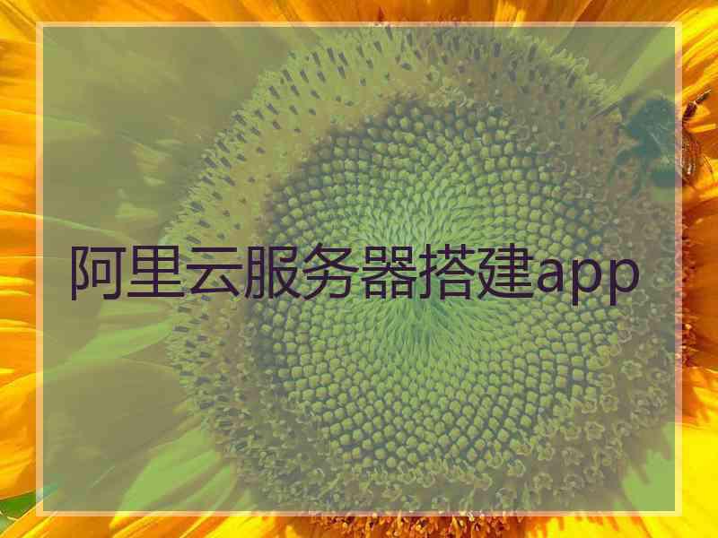 阿里云服务器搭建app