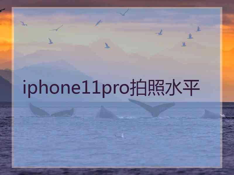 iphone11pro拍照水平