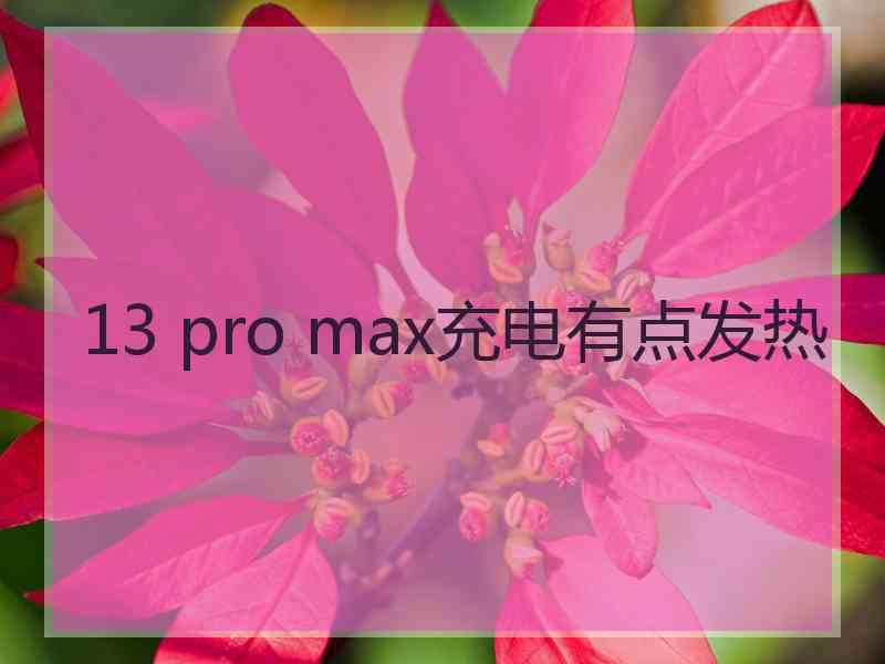 13 pro max充电有点发热