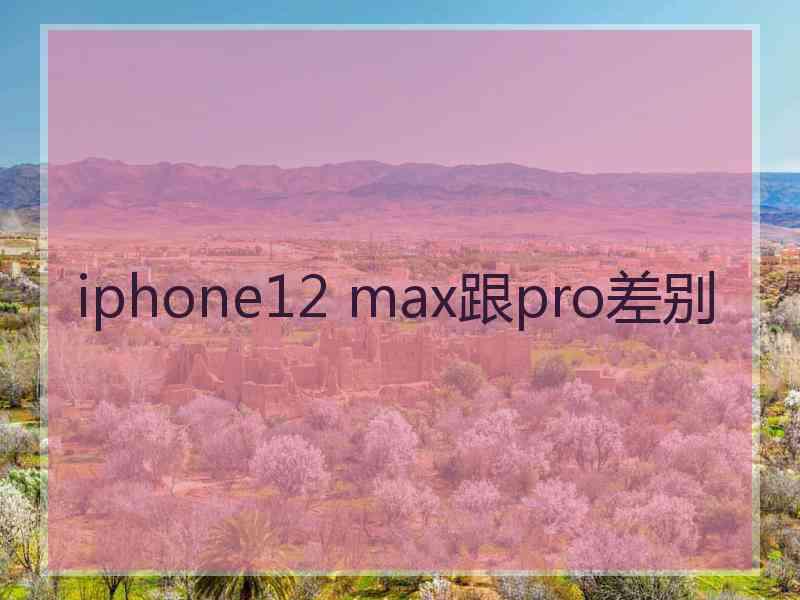 iphone12 max跟pro差别