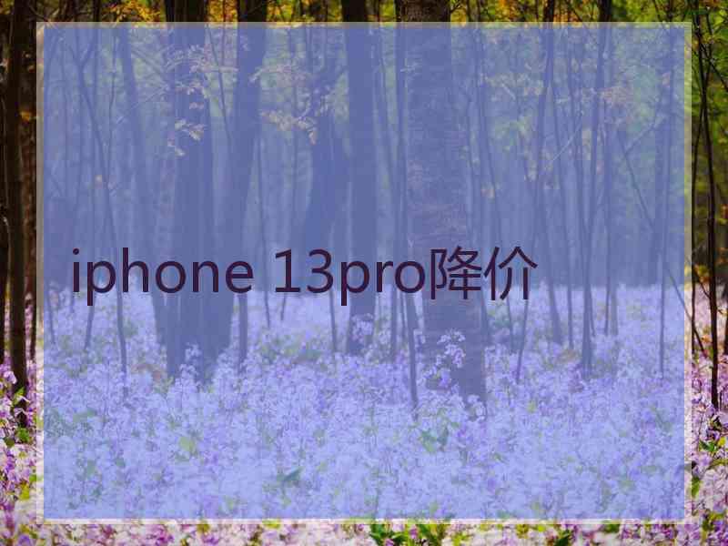 iphone 13pro降价