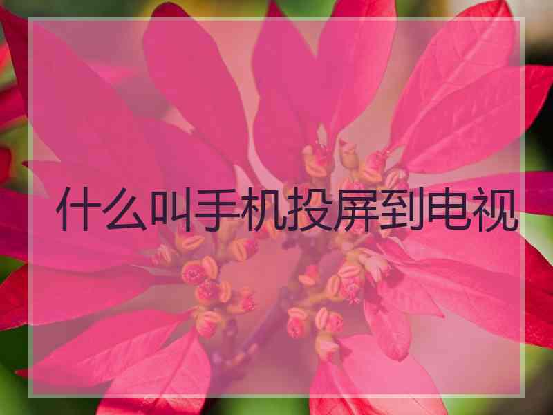 什么叫手机投屏到电视