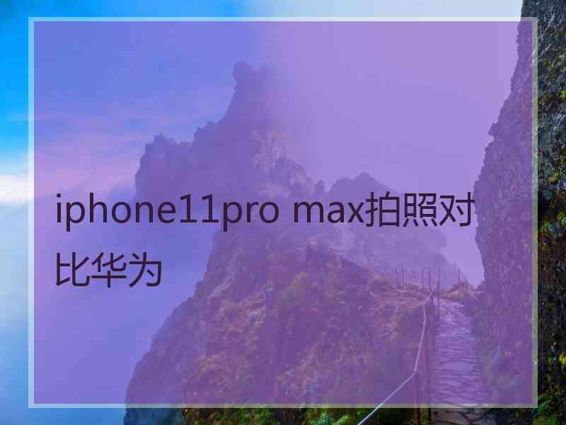 iphone11pro max拍照对比华为