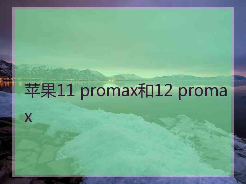 苹果11 promax和12 promax