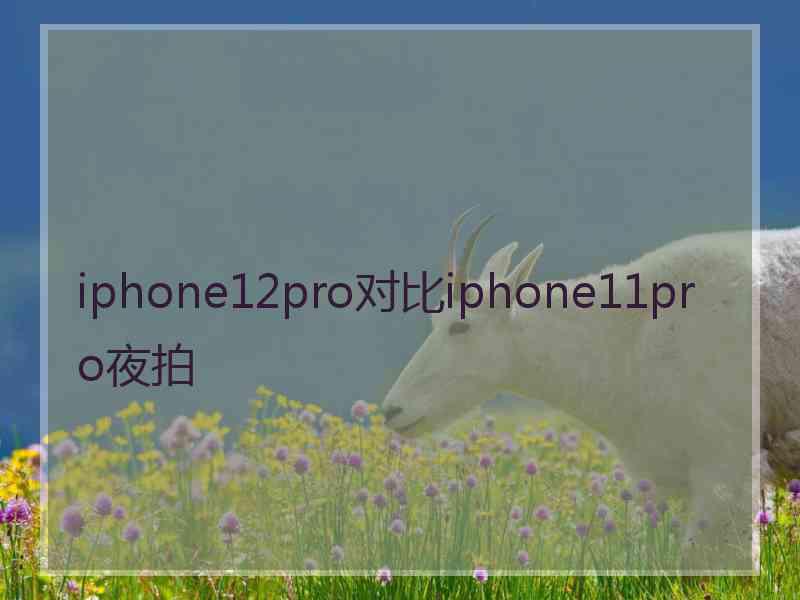 iphone12pro对比iphone11pro夜拍