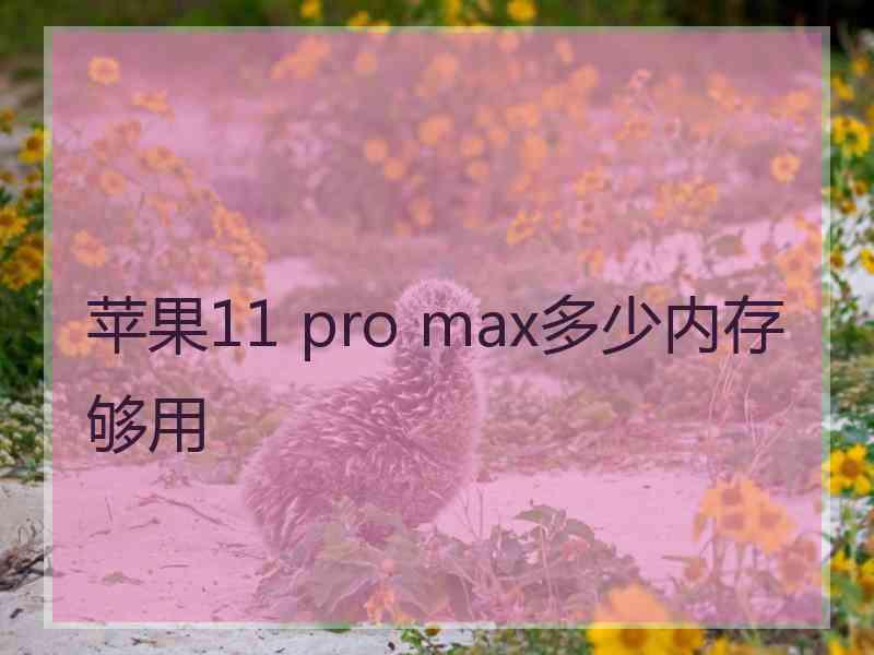 苹果11 pro max多少内存够用