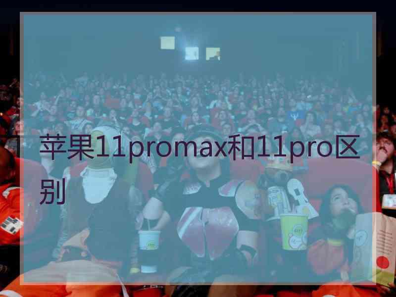 苹果11promax和11pro区别