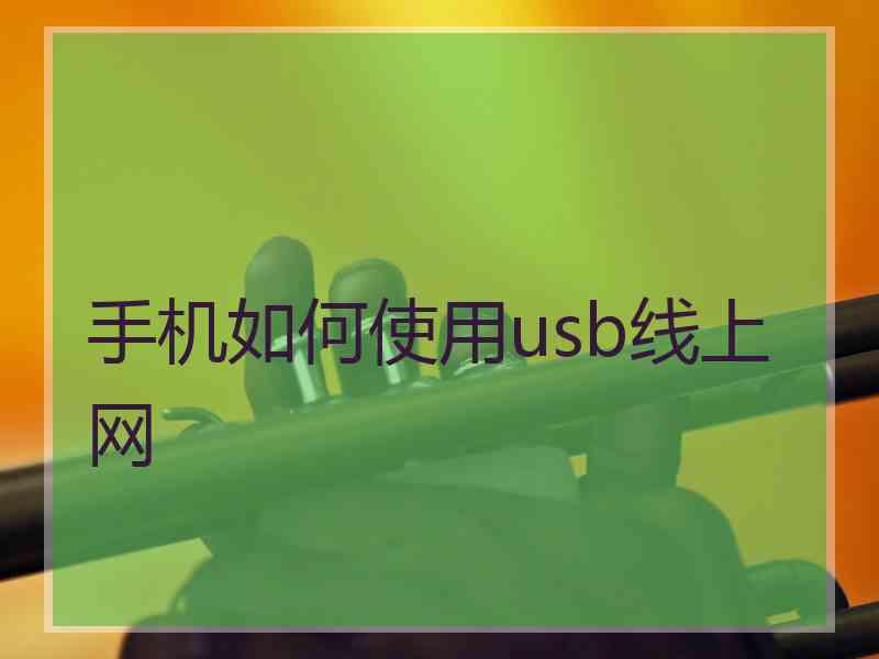 手机如何使用usb线上网