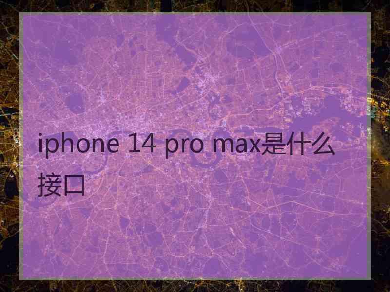 iphone 14 pro max是什么接口