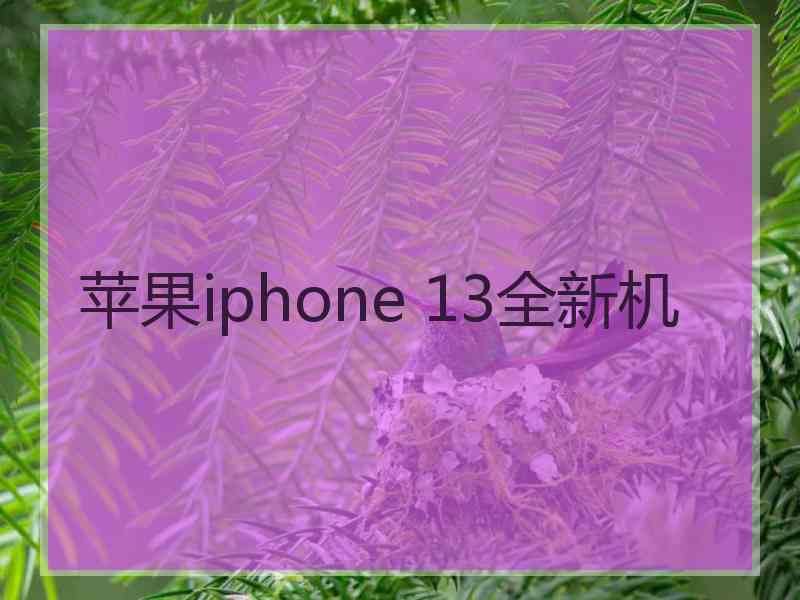 苹果iphone 13全新机