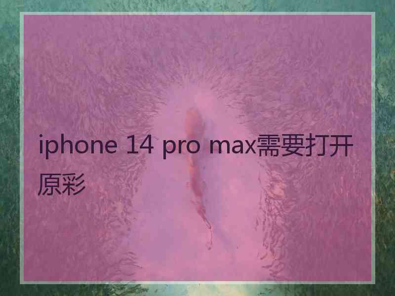 iphone 14 pro max需要打开原彩