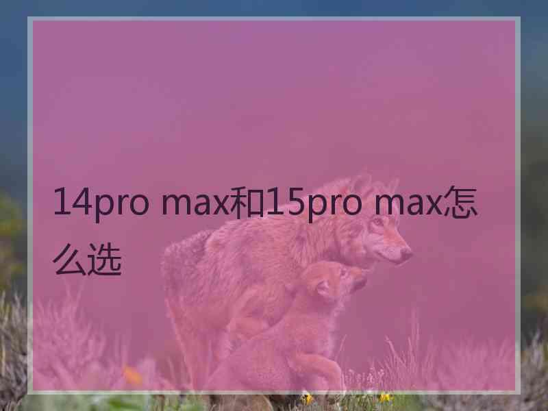 14pro max和15pro max怎么选