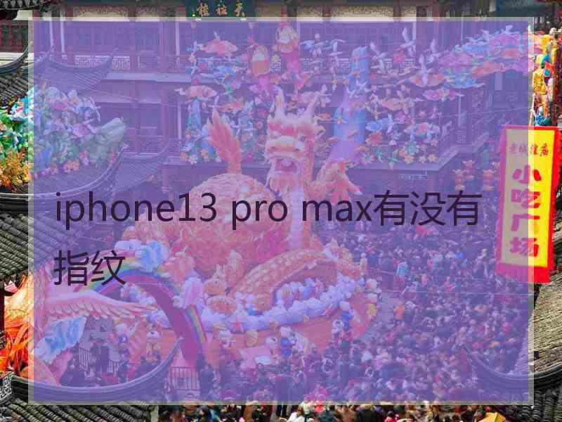 iphone13 pro max有没有指纹