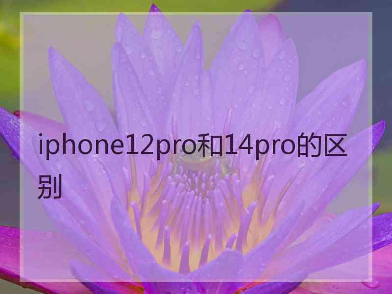 iphone12pro和14pro的区别