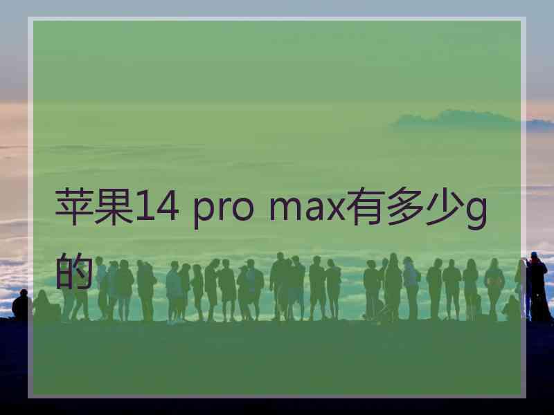 苹果14 pro max有多少g的