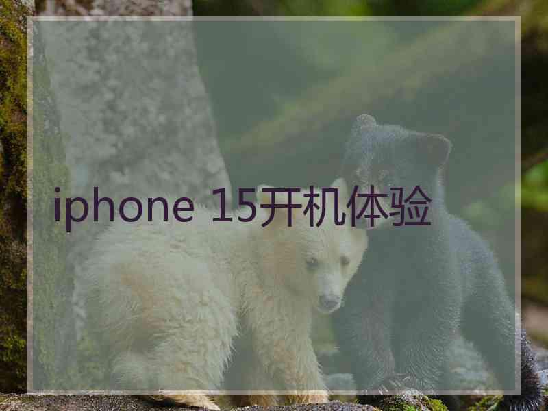 iphone 15开机体验