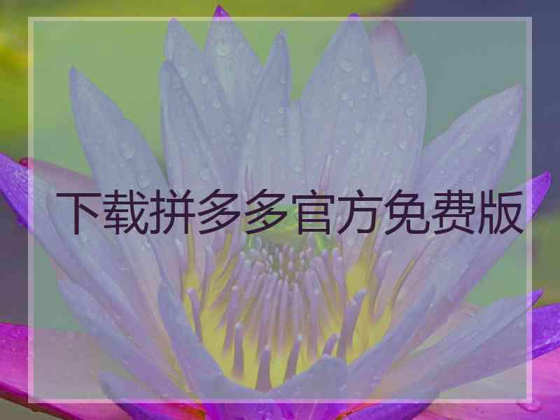 下载拼多多官方免费版