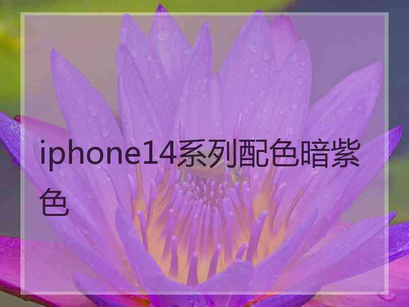 iphone14系列配色暗紫色