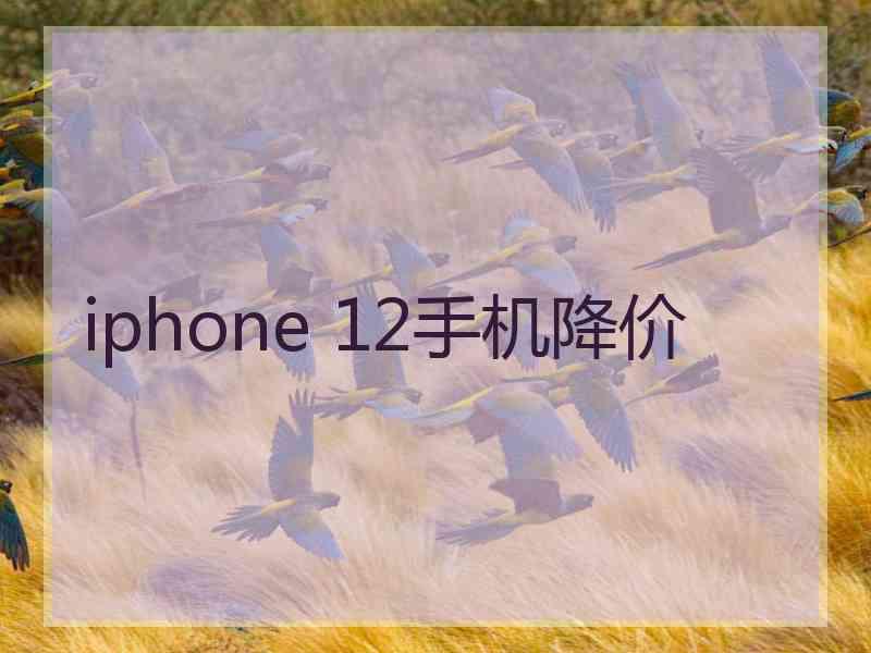 iphone 12手机降价