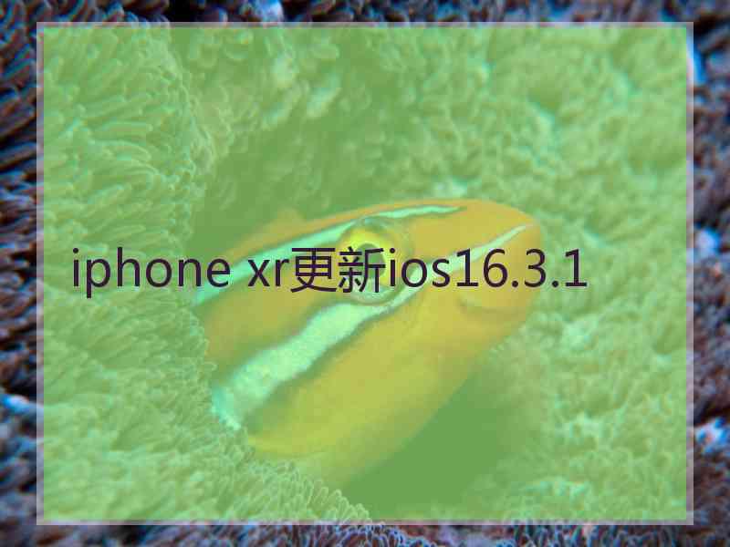 iphone xr更新ios16.3.1