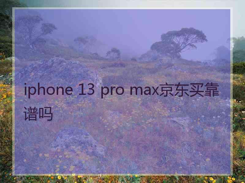 iphone 13 pro max京东买靠谱吗