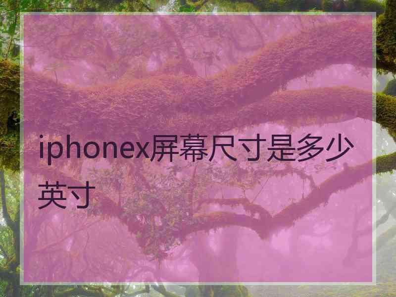 iphonex屏幕尺寸是多少英寸