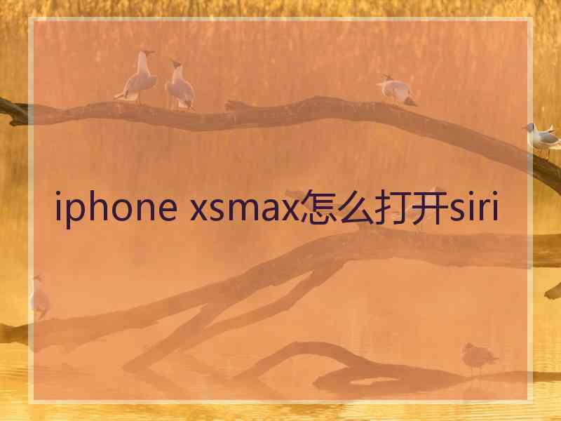 iphone xsmax怎么打开siri