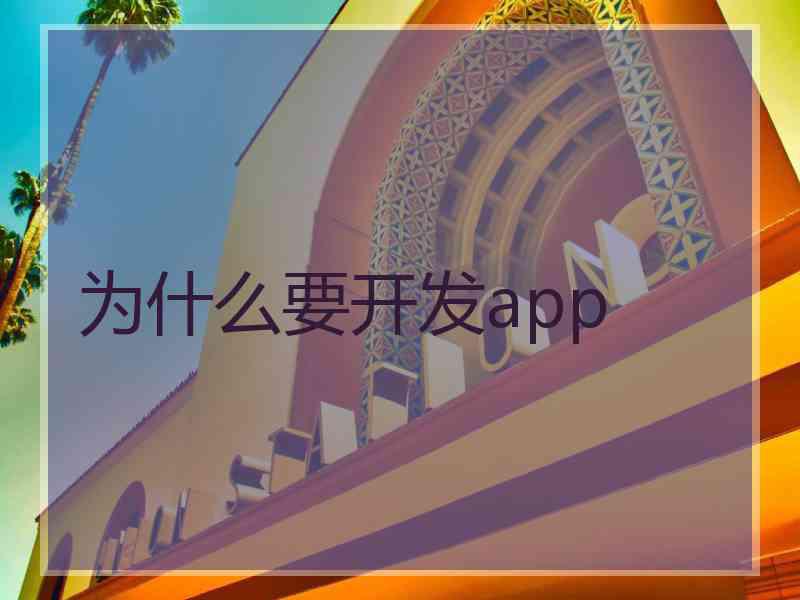 为什么要开发app