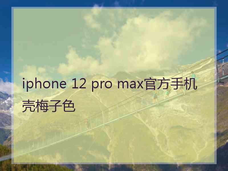 iphone 12 pro max官方手机壳梅子色