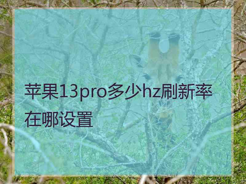 苹果13pro多少hz刷新率在哪设置