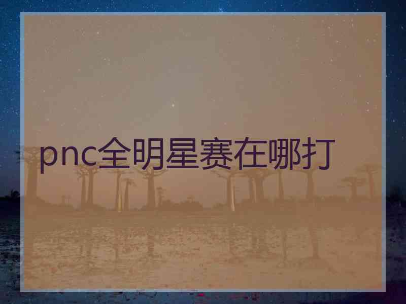 pnc全明星赛在哪打