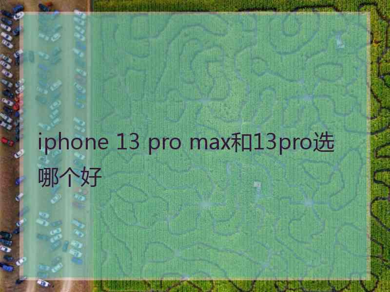 iphone 13 pro max和13pro选哪个好