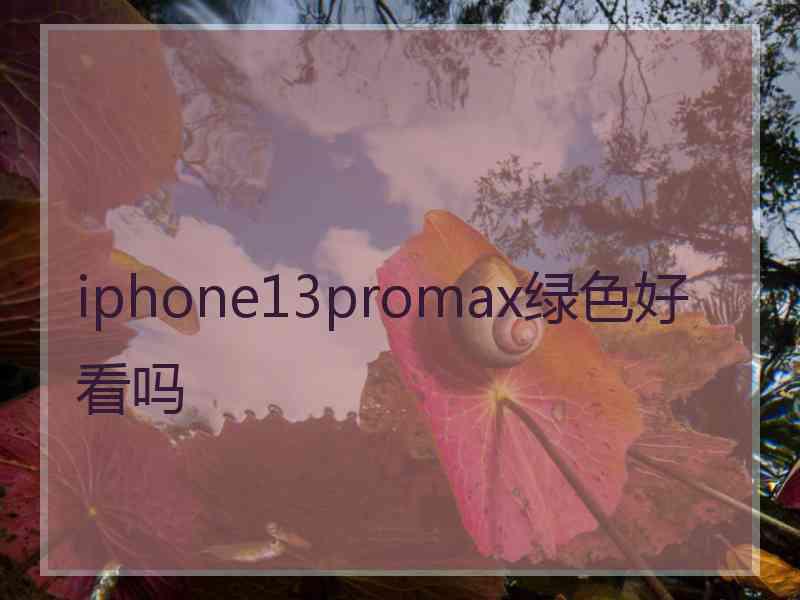 iphone13promax绿色好看吗