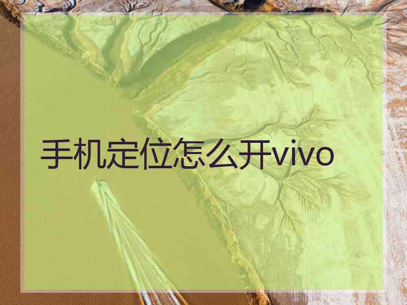 手机定位怎么开vivo